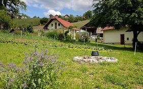 Domacija Vesel